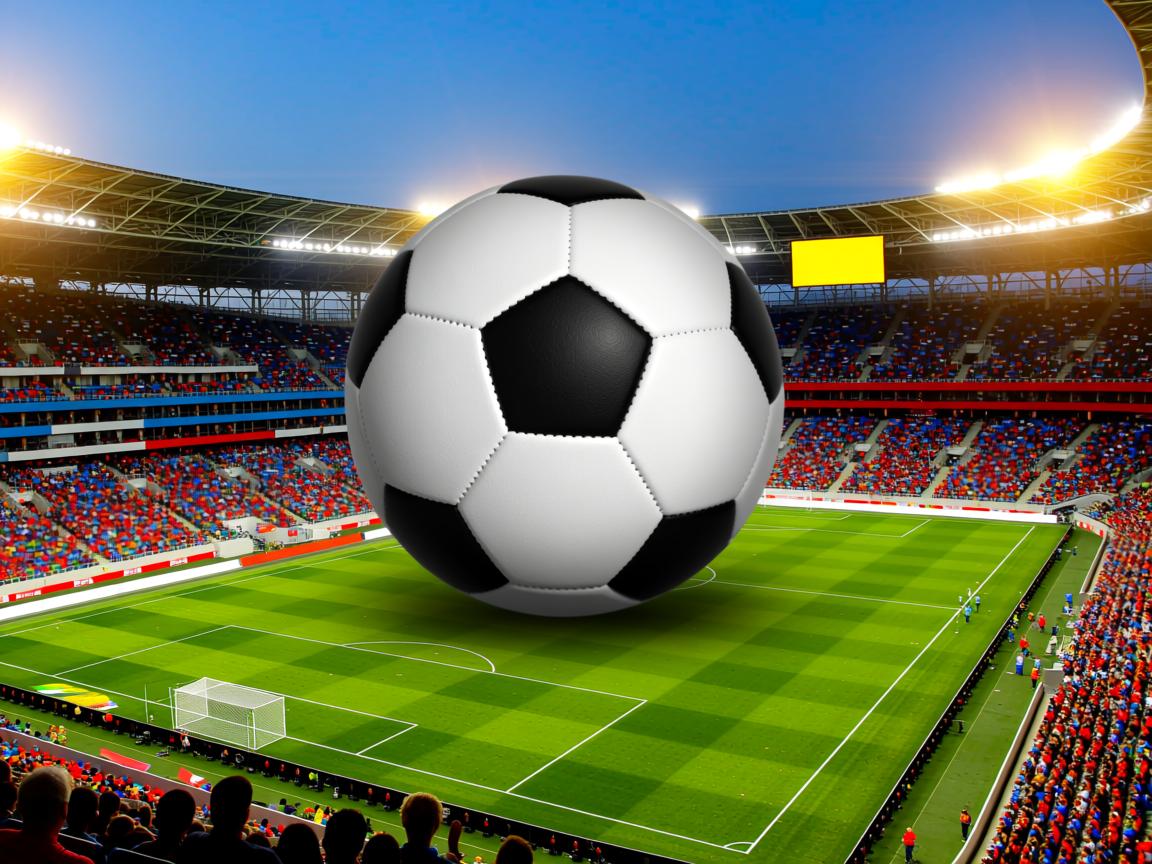 开云体育app入口-Chinese Taipei：未来发展的关键在于人才培养与技术提升  第3张