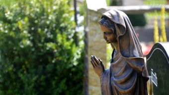 开云体育足球-女子200蝶划水幅度：中国略占上风，女子200米蝶泳决赛视频保存到相册里  第3张